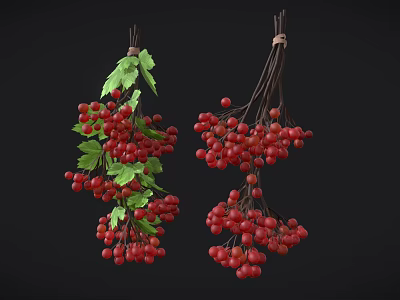 Fresh Red Berries with Green Leaves Hanging on Black Background 3d model
