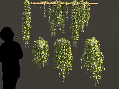 Lush Green Hanging Vines With Dense Leaves And Silhouette Of A Person 3d model