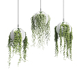 Modern hanging basket plant 3d model