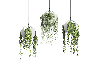 Modern hanging basket plant 3d model