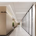 Modern Office Corridor With Wooden Walls Glass Partitions Blinds Lighting And Green Plant