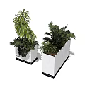 Potted Tropical Green Plants In White Square Planters With Black Base For Indoor Decoration