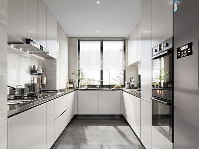 Modern Kitchen model