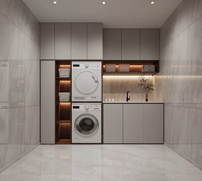 Modern Laundry Room Interior With Washing Machine Dryer Cabinets Sink And Decorative Plant 3d model