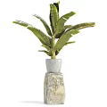 Varied Indoor Potted Plants In Gray Pots With Diverse Leaf Types For Home Decor