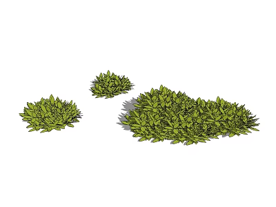 Green Shrubs in Different Sizes for Garden Landscaping Design 3d model