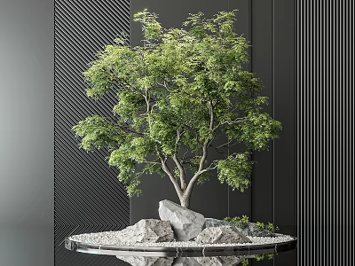 Stylish Garden Ornament With Small Tree Rocks Gravel On Tray Against Dark Striped Wall 3d model