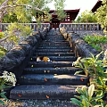 Garden Landscape Featuring Stone Steps Beagle Dog Traditional Red Pavilion And Green Foliage