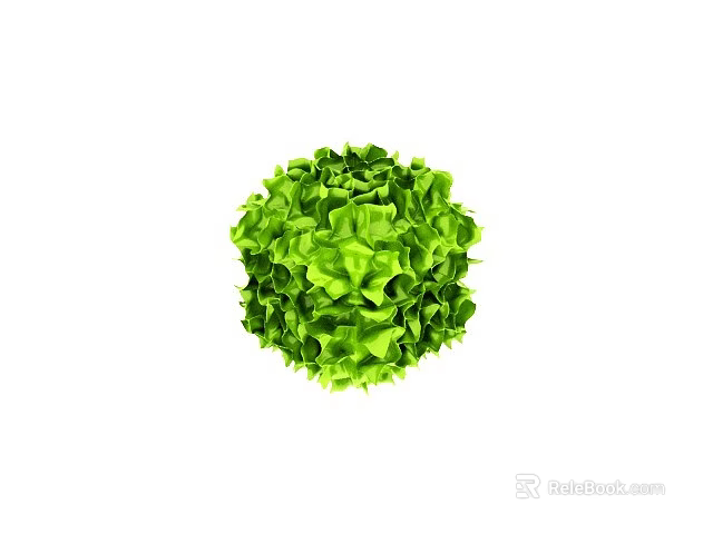 Fresh Green Lettuce Ball With Vibrant Leaves For Healthy Diets 3d model 