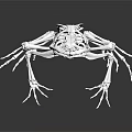 3D Rendered White Medical Device with Complex Structure Articulated Joints Reflective Surface on Black Background