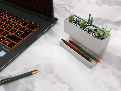 Laptop And Succulent Plant Pot On Marble Desktop With Pencil Holder And Pencils 3d model