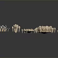 Animal Bones of Various Sizes with Porous Surfaces Arranged on Gray Background