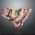 3D Anatomical Illustration of Human Organs and Hair Structures With Detailed Medical View