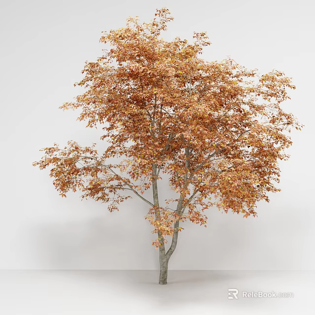 Tall Arbor With Orange Autumn Leaves And Dense Foliage On White Background 3d model 