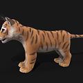 3D Model of Baby Tiger With Brown Black Stripes Blue Eyes on Black Background