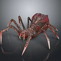 Red and Brown Textured Spider with Long Legs and White Tips on Dark Background