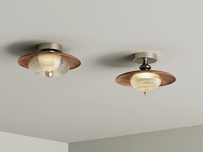 Modern Minimalist Ceiling Lights With Wooden Trim Metal Base And Glass Shade 3d model