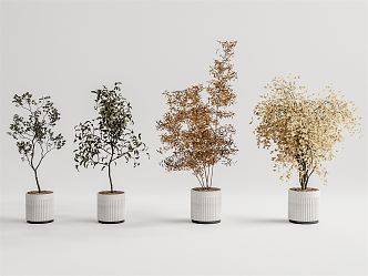 Modern potted plant potted landscape tree 3d model