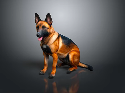 Brown and Black German Shepherd Sitting with Tongue Out on Gray Background 3d model
