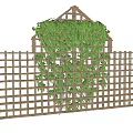 Bamboo Lattice Fence Covered With Green Ivy For Garden Decoration
