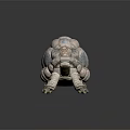 Artistic Turtle Sculpture With Patterned Shell Blue Pink Tones On Dark Background