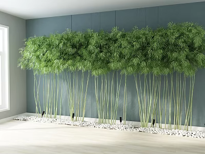Decorative Green Bamboo Arranged Along Blue Wall With White Pebbles Indoor Setting 3d model