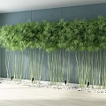 Decorative Green Bamboo Arranged Along Blue Wall With White Pebbles Indoor Setting