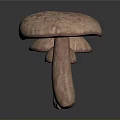 Three Mushroom Plants with Brown Spotted Caps and Stems in Various Sizes on White Background