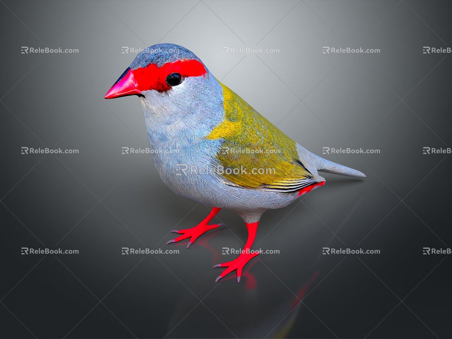 bird bird bird bird game animal cartoon animal animal realistic animal 3d model