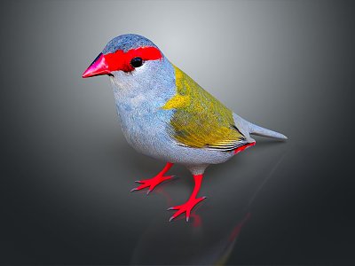 bird game animal cartoon animal realistic animal 3d model