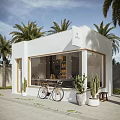 Modern Storefront White Building Large Windows Palm Trees Bicycle Cacti Plants And Shelves