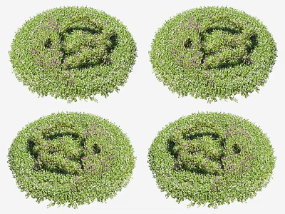 Round Decorative Flower Shrubs With Lush Green Foliage And Intricate Patterns 3d model