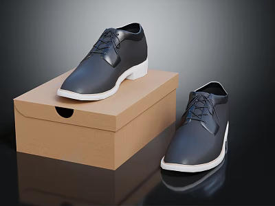 Black Leather Lace Up Shoes With White Soles On Brown Cardboard Box 3d model