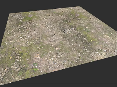 Natural Ceiling Design With Moss Pebbles Earthy Tones And Textures 3d model