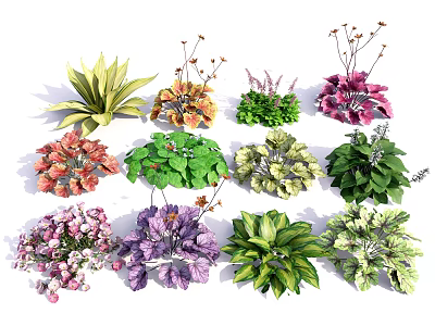 Colorful Various Flowers and Plants with Diverse Leaf Shapes and Vibrant Hues 3d model