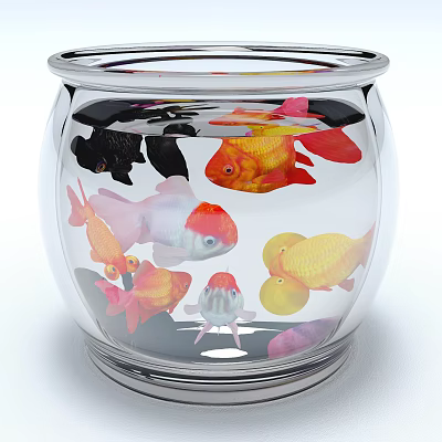 Round Glass Fish Tank With Colorful Goldfish And Various Colored Tropical Fish 3d model