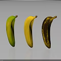 Three Bananas at Different Ripening Stages Green Yellow and Brown Spots