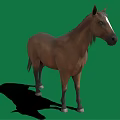 Brown horse with white forehead black mane white hooves standing on green background with shadow