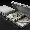 Money Dollar Box Suitcase 3d model