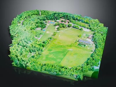 Cartoon Scene of Green Park with Lush Trees Open Grassland and Small Buildings 3d model