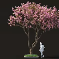 Beautiful Arbor Featuring Pink Blossoms And White Statue On Green Lawn Area
