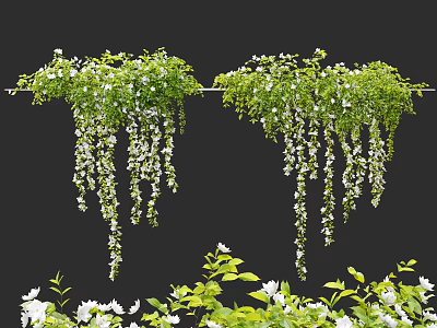 Hanging Basket Green Plants With Trailing Vines And White Flowers For Home Decor 3d model