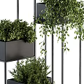 Layered Potted Green Plants In Black Pots On Metal Stands With Various Heights