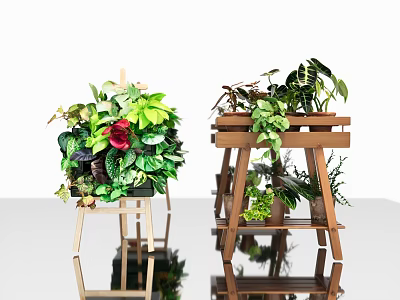 Indoor Plant Arrangement with Various Green Foliage and Red Flower on Wooden Stands 3d model