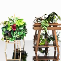 Indoor Plant Arrangement with Various Green Foliage and Red Flower on Wooden Stands