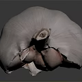 Fresh Garlic Bulb with Peeled Cloves and Pale Pink Skin on Dark Background