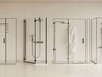Modern Shower Head With Rainfall And Handheld Sprayer In Glass Enclosure Bathroom 3d model
