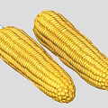 Two Fresh Yellow Ripe Corn Cobs with Sweet Juicy Kernels for Healthy Dishes