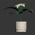 Indoor Plant With White Flower And Green Leaves In Textured Beige Pot