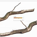 Natural Stone And Wooden Curved Branches With Mossy Texture For Decor